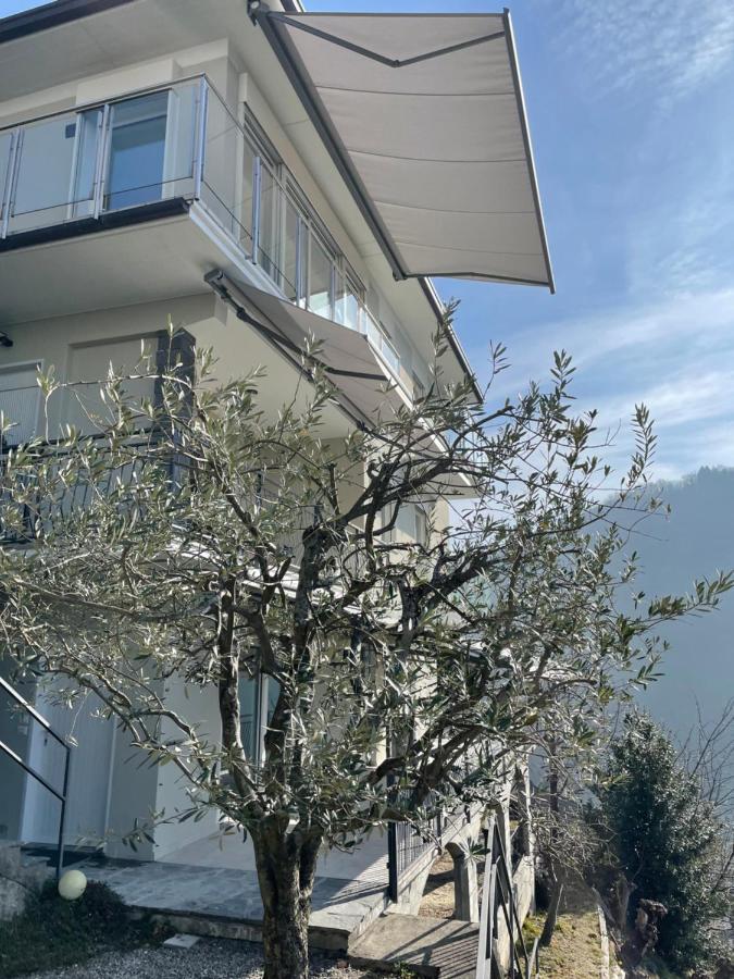 Casa Colmegna Mit Traumhaften See- Und Bergblick 勒威诺 外观 照片