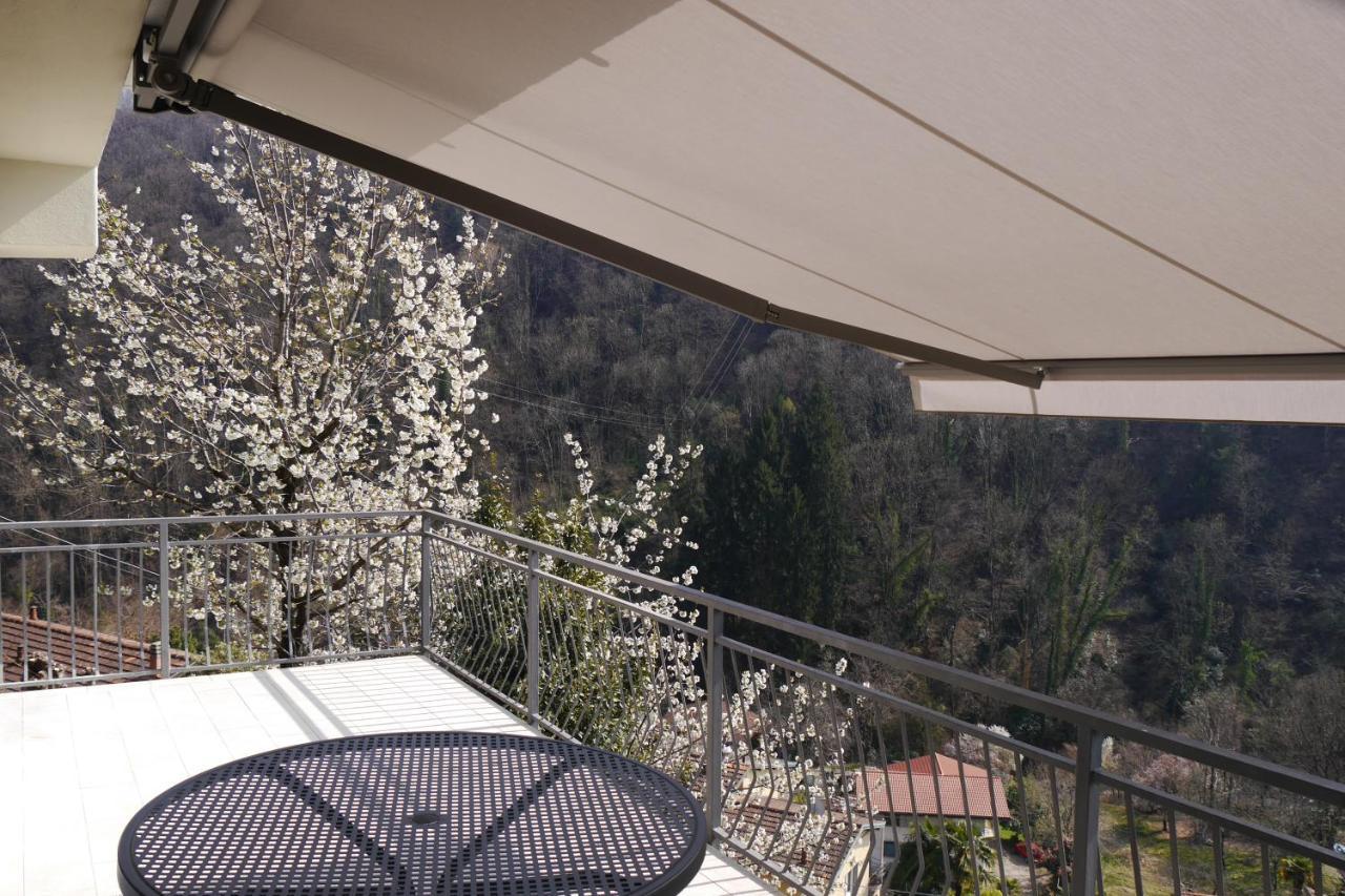 Casa Colmegna Mit Traumhaften See- Und Bergblick 勒威诺 外观 照片